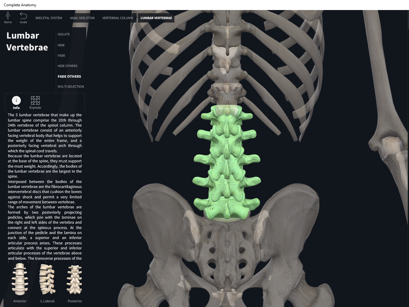 Bones: Vertebral Column, Lumbar Region. – Anatomy & Physiology