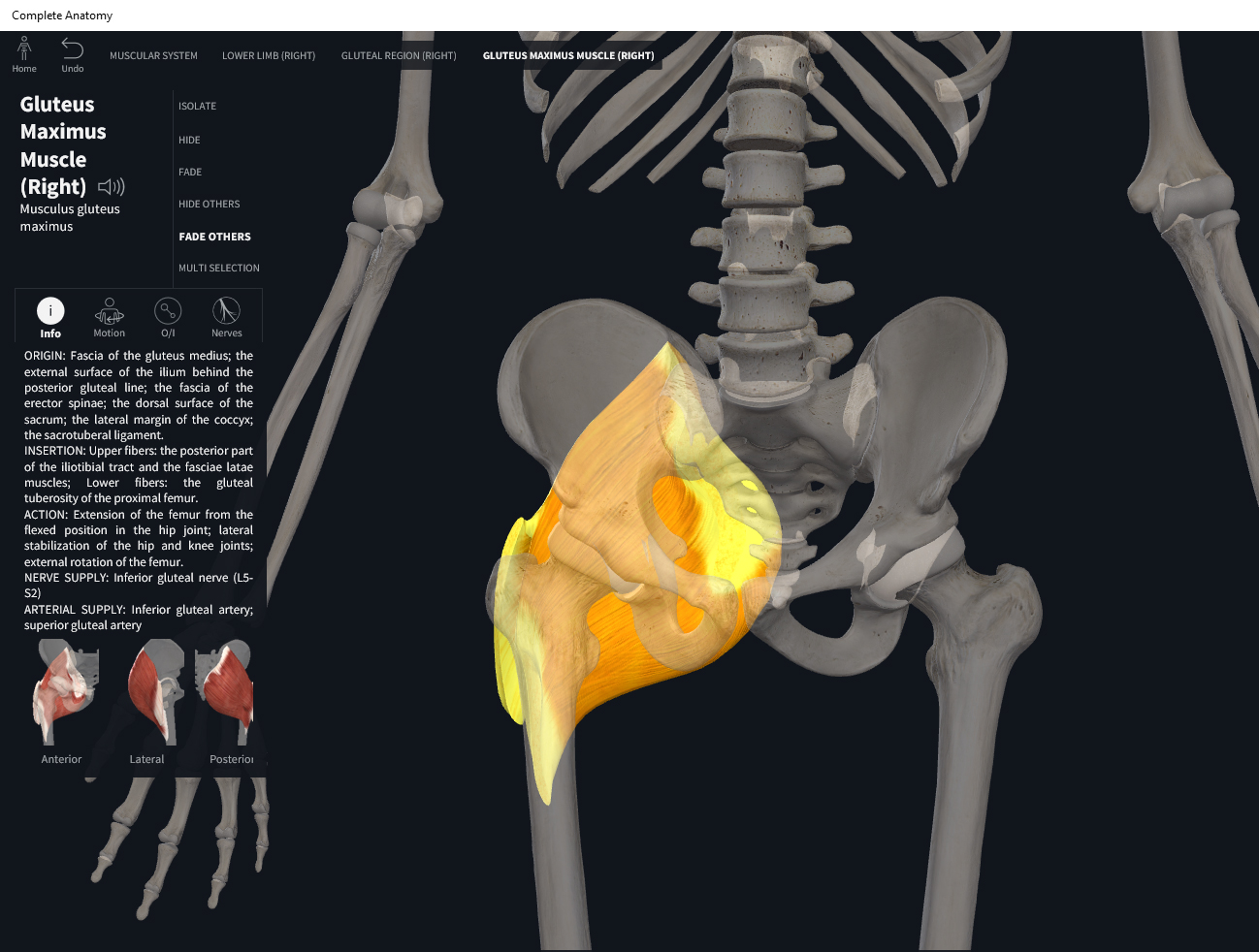 wiley anatomy and physiology tortora
