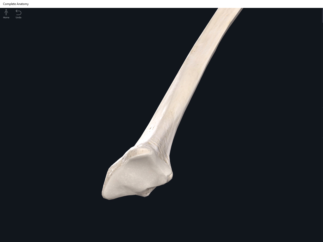 Bones: Radius. – Anatomy & Physiology