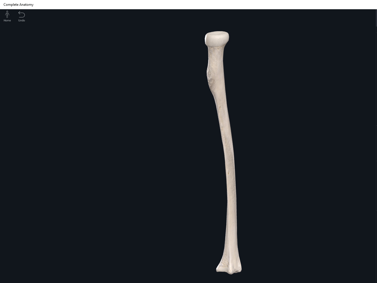 Bones: Radius. – Anatomy & Physiology