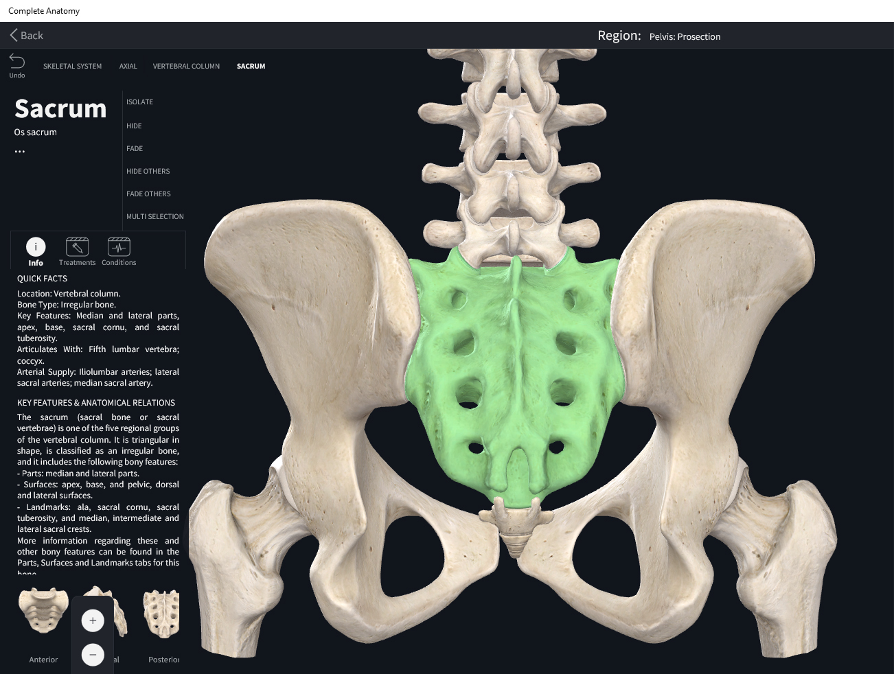 Anatomy Of Sacrum Area Sacrum C Est Quoi DEFJKX Anatomy Of Sacrum Area Sacrum C Est Quoi DEFJKX