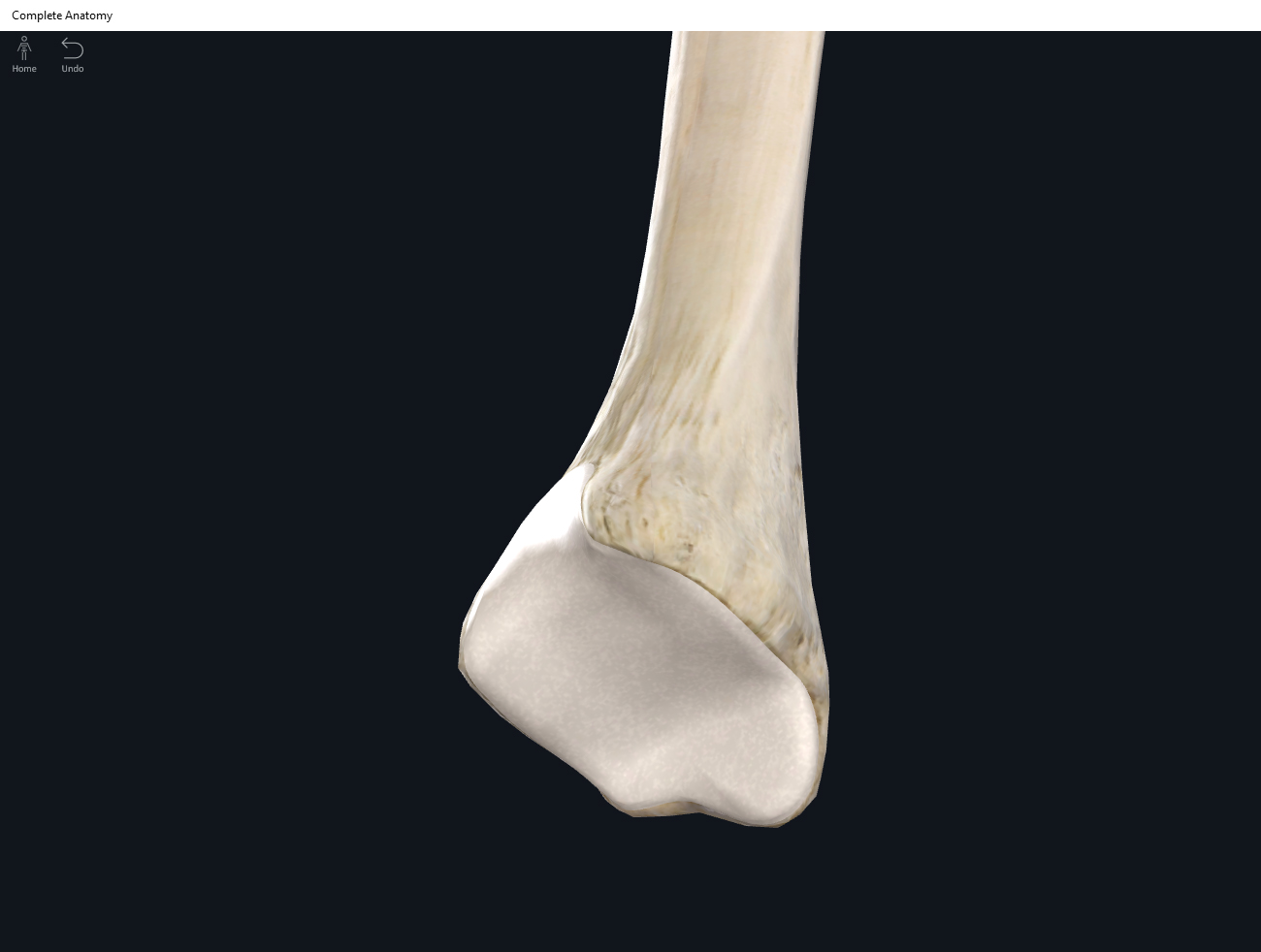 Bones: Tibia. – Anatomy & Physiology