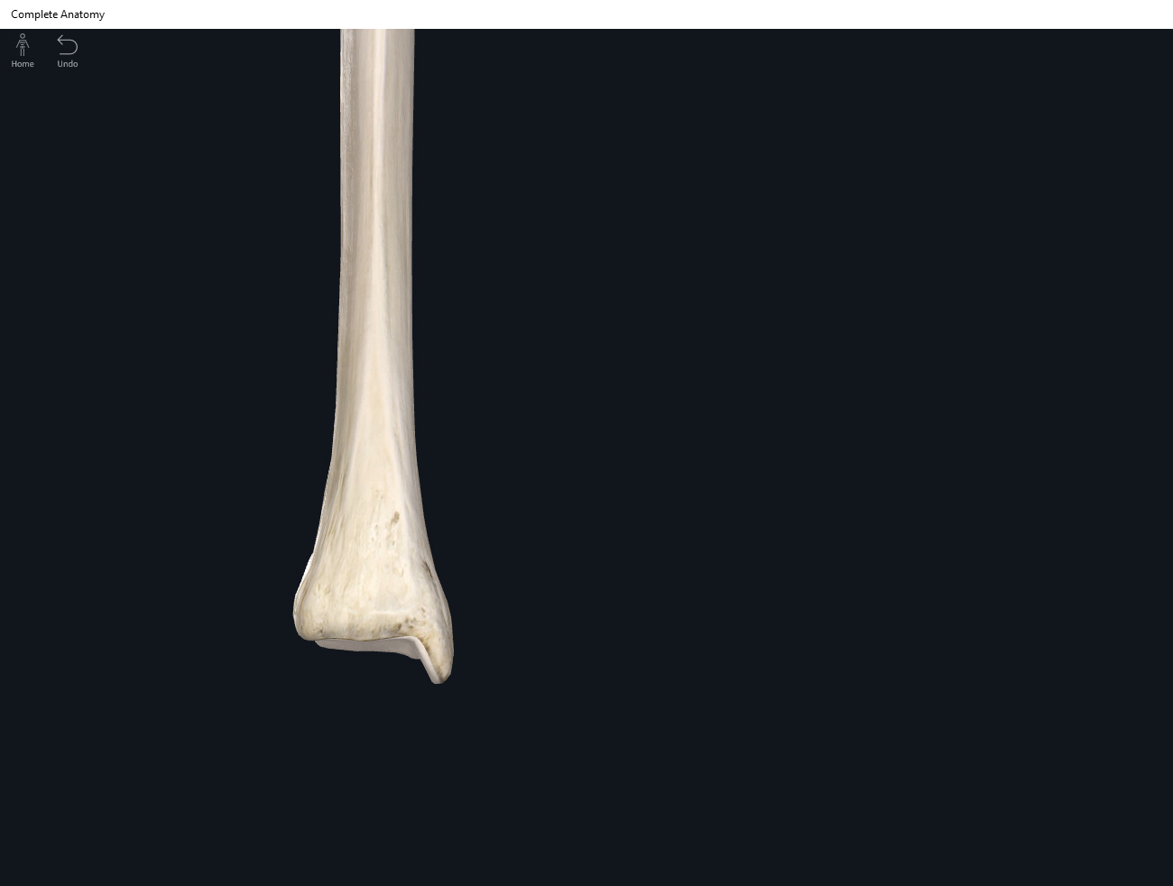 Bones: Tibia. – Anatomy & Physiology