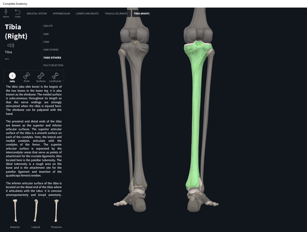 Bones: Tibia. – Anatomy & Physiology