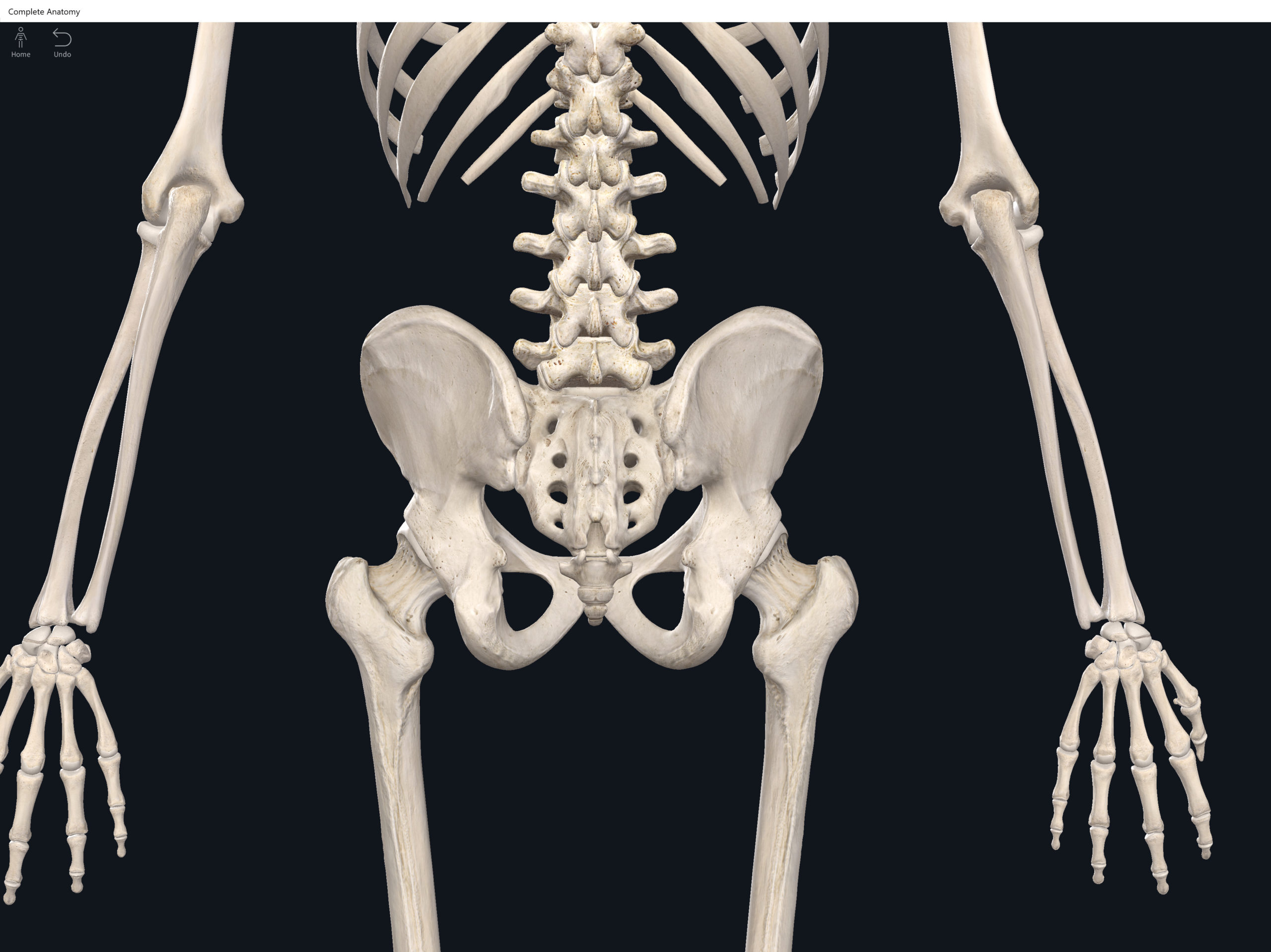 Bones: Lumbo-Pelvic Hip Complex. – Anatomy & Physiology