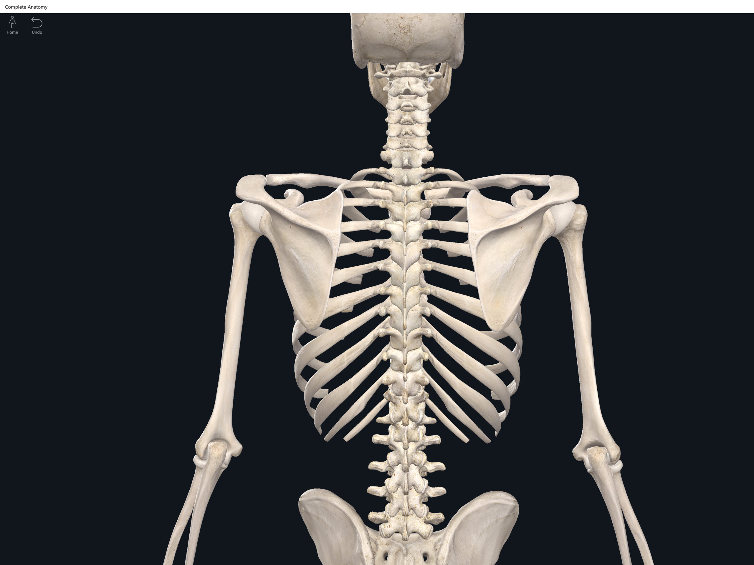 narrowing of the space in between vertebrae