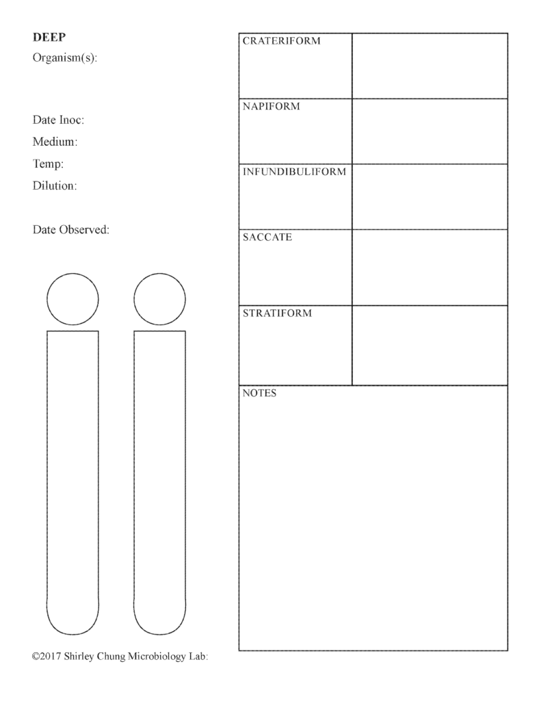 Microbiology Lab Forms I Designed Basic Sciences 