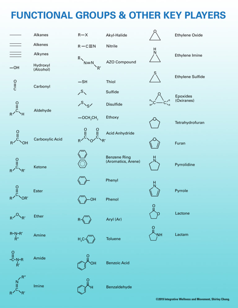 Functional Groups & Key Players – Basic Sciences