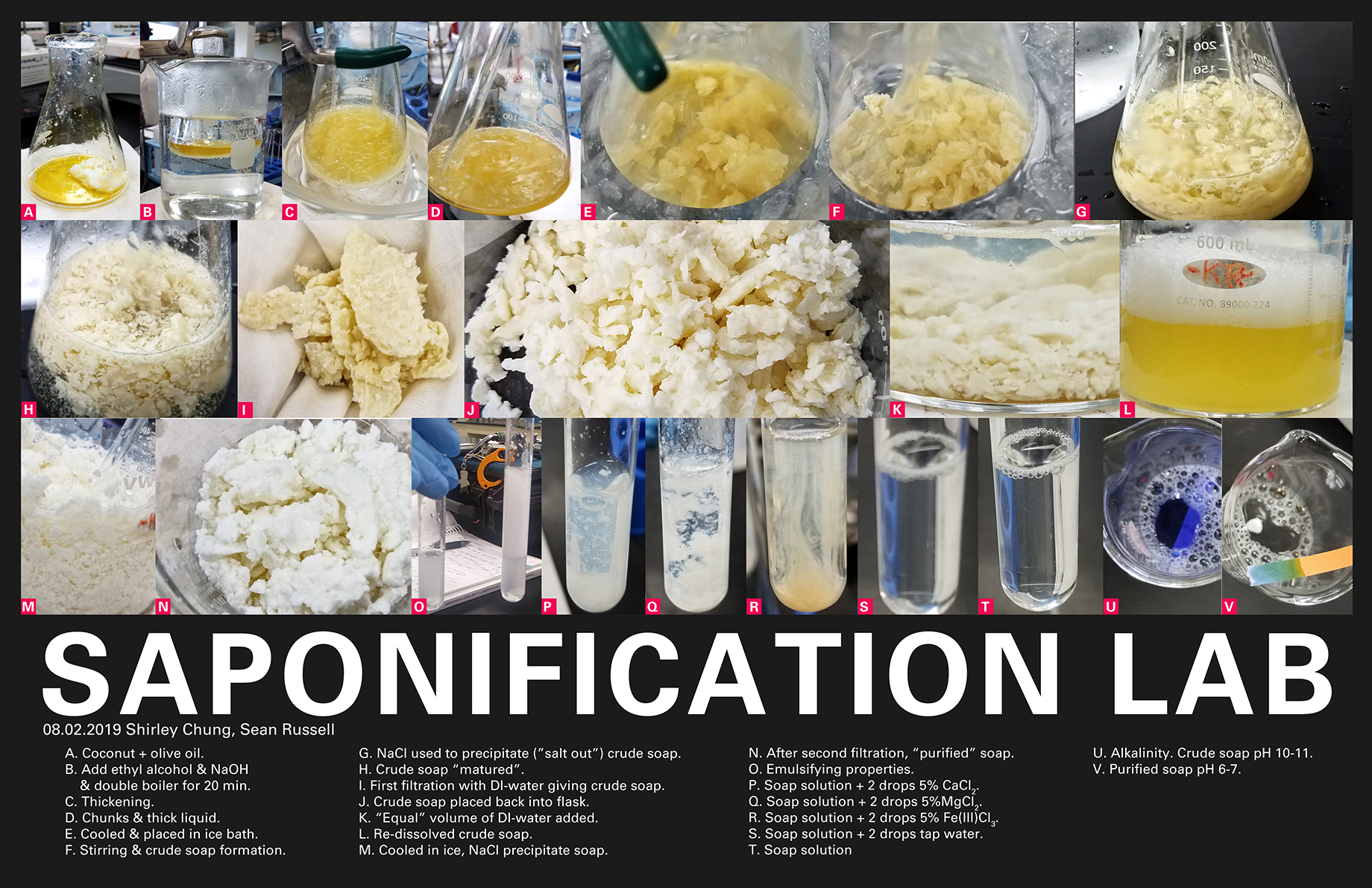 Saponification Lab Poster Basic Sciences 8262